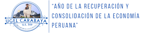 UGEL Carabaya